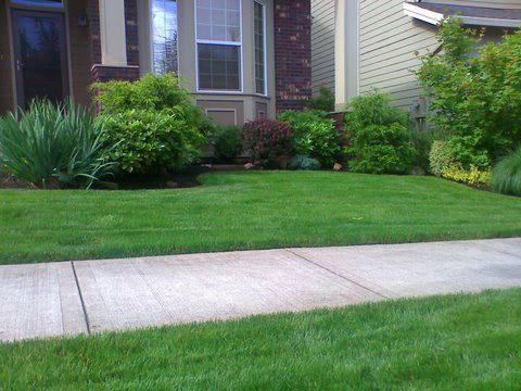Beautiful yard maintenance. Perfectly mowed lawn in front of a yard. Clean cut edges. Modern Lawn Maintenance with green healthy lawn divided by a side walk in front of the house.