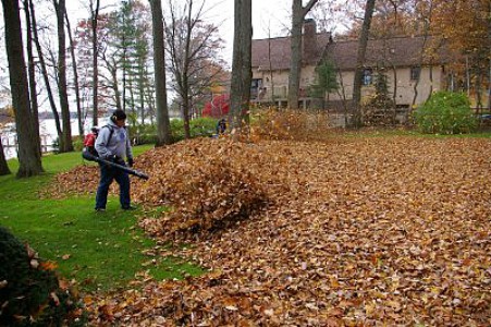 yard cleanup and removal, yard maintenance, season cleanup, fall clean up
