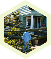 Yard cleanup, branches and debris removal