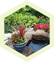 French Drainage, yard drainage, lawn care