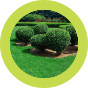 Trimming, pruning, lawn care, landscape maintenance Portland