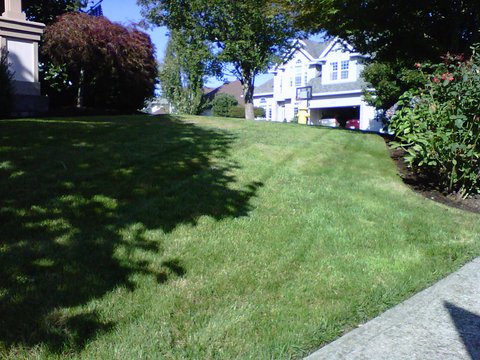 large backyard Lawn moved, landscape maintenance services Gresham