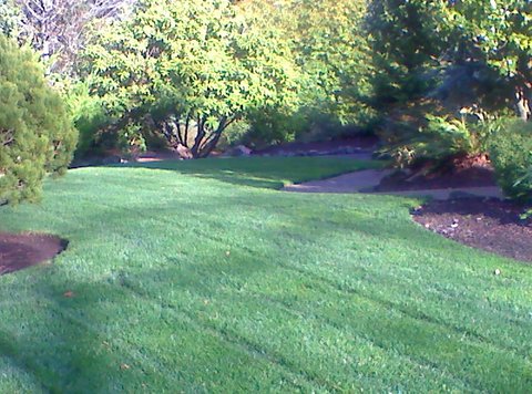 large backyard Lawn moved, landscape maintenance services Tigard