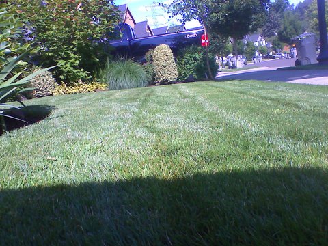 large backyard Lawn moved, landscape maintenance services Portland