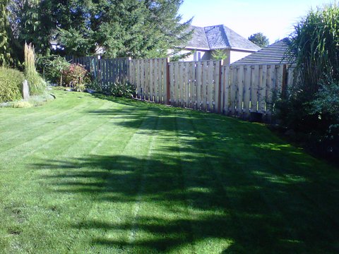 lawn mowed and maintained with a wooden fence in the back